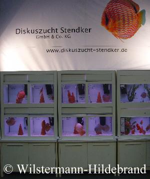 Stand von Disluszucht Stendker auf der Interzoo 2012
