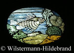 Fensterbild mit Rotgeuerfisch