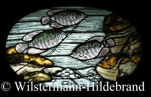 Fensterbild mit Fadenfischen