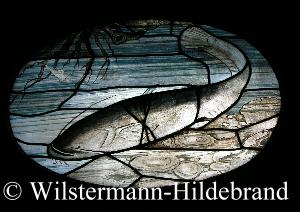 Fensterbild mit Wels