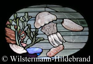 Fensterbild mit Qualle