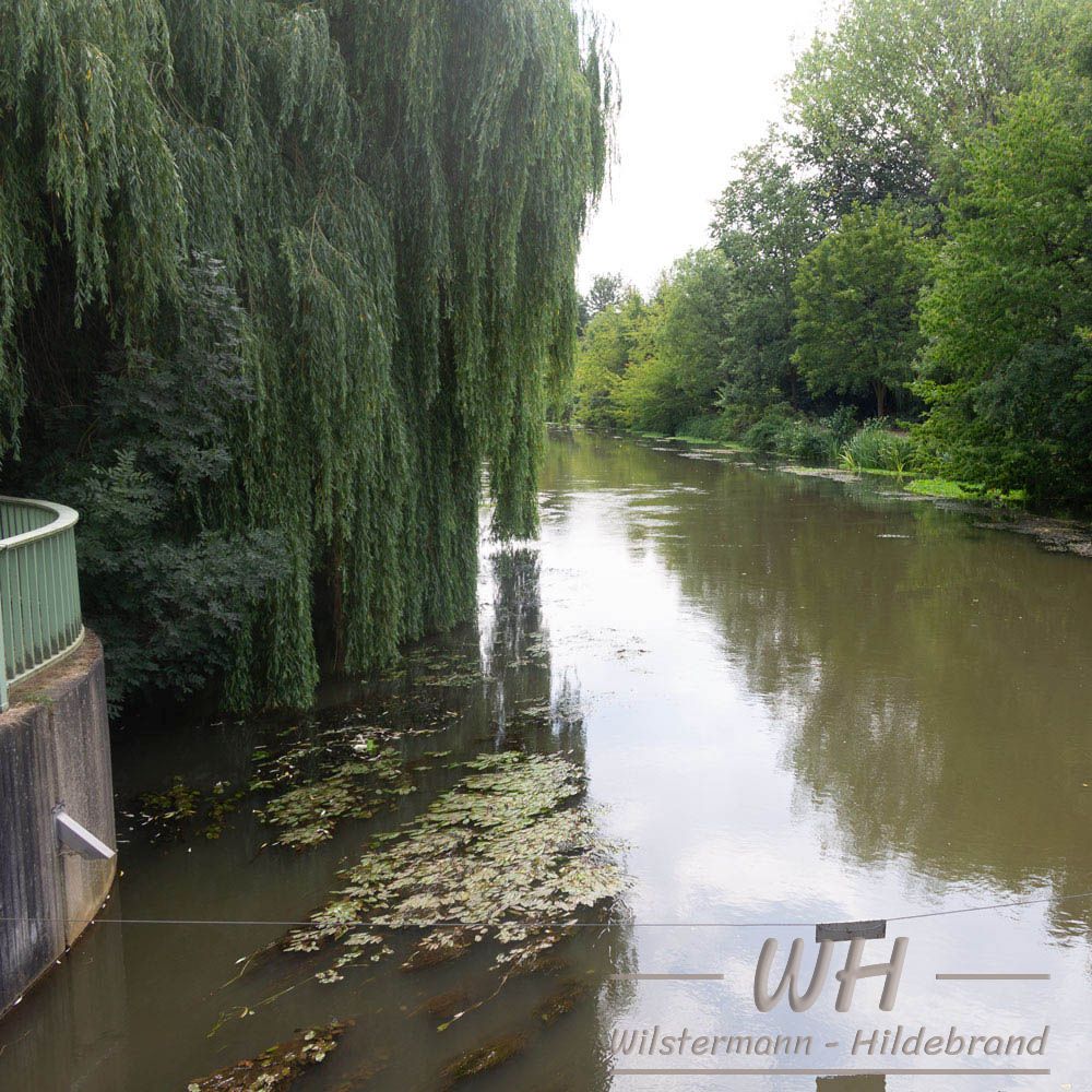 Blick auf die Erft bei Bedburg vom Wehr aus flussaufwärts