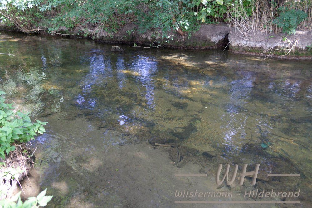 Gillbach zwischen Rheit und Hüchelhoven