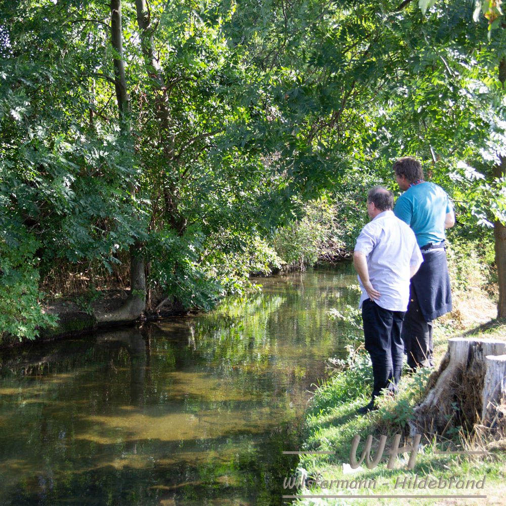 Gillbach zwischen Rheit und Hüchelhoven