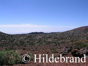 trocken und recht kalt