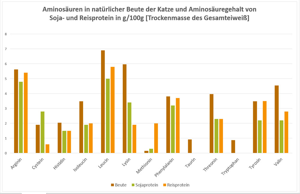 Aminosäuren in pflanzlichen Eiweißen