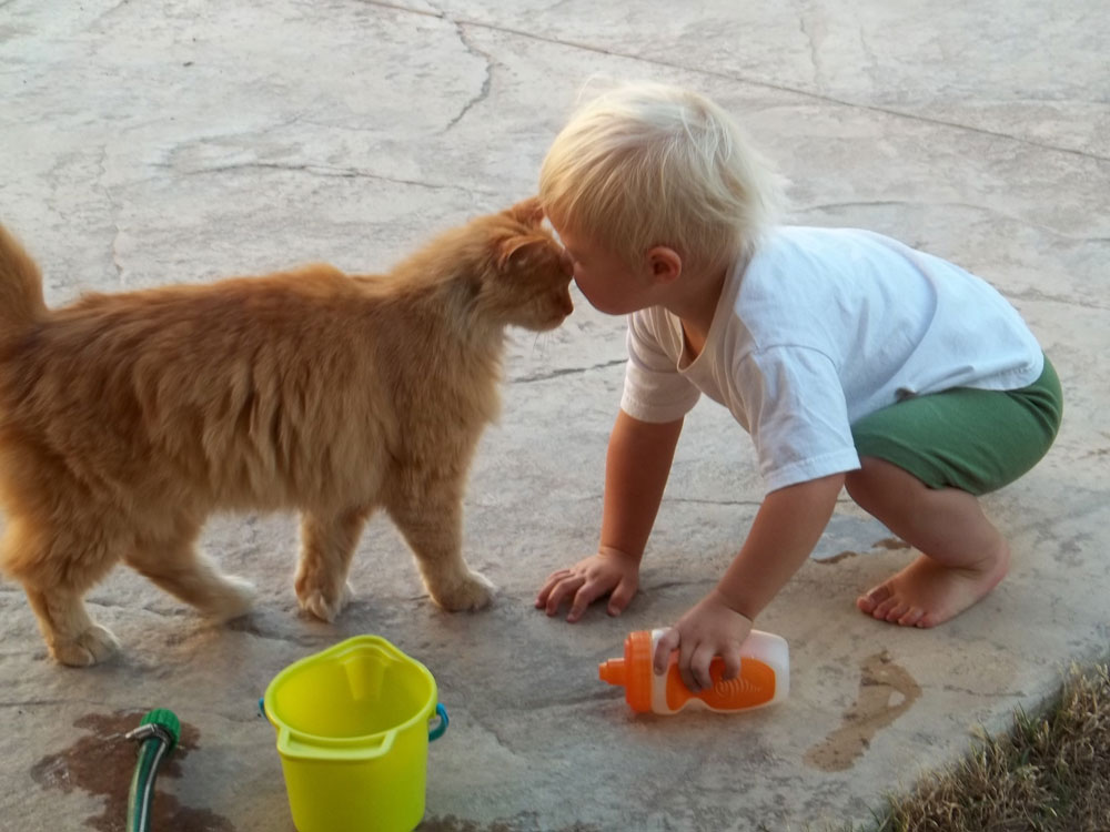 Katze und Kleinkind