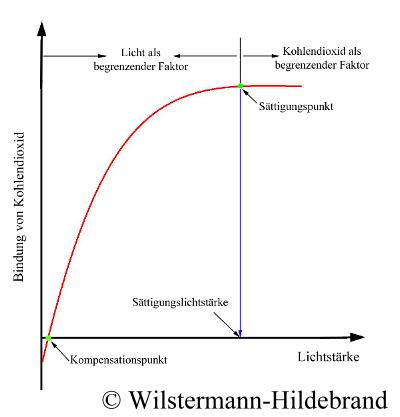 Lichtsättigung