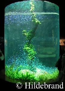 ein gro&szlig;er Glaszylinder