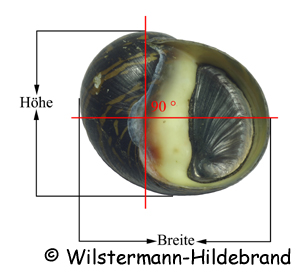 Gehäuse richtig vermessen