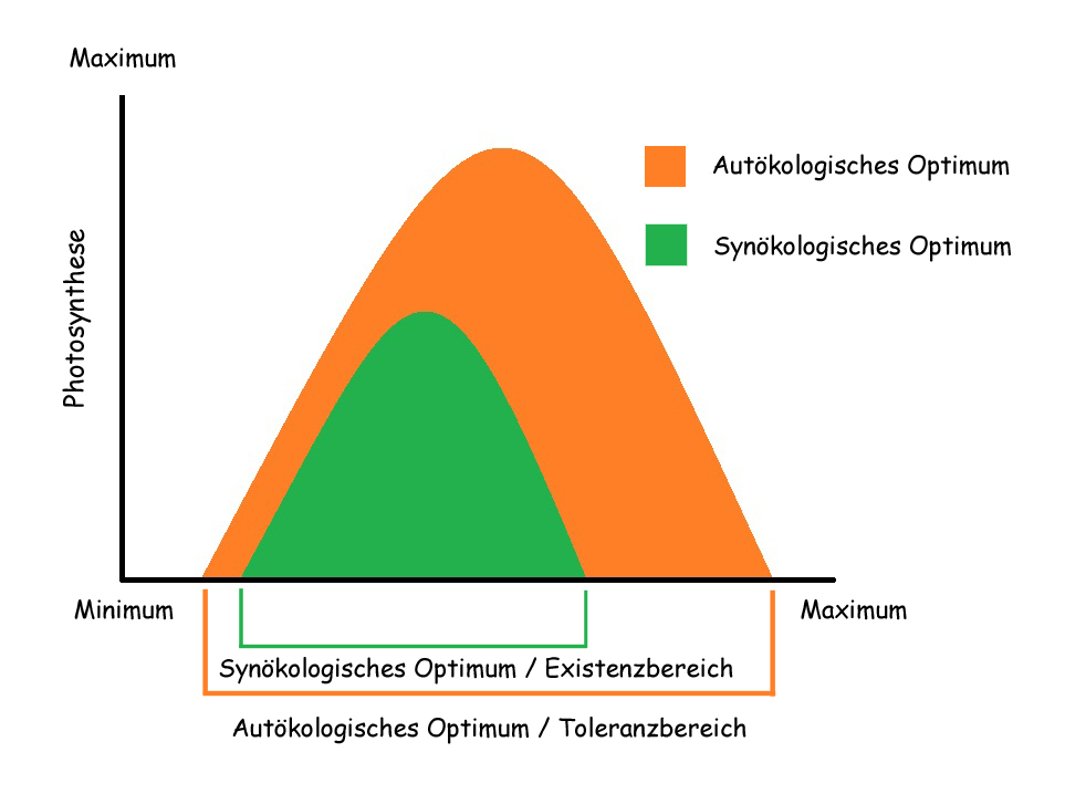 Ökologisches Optimum