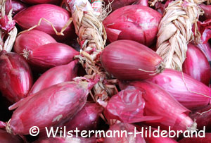 gebündelte rote Zwiebeln