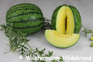 Wassermelone Champagne